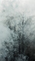 Fototapeta premium fog background