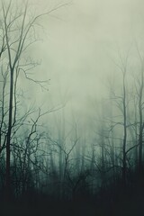 Obraz premium fog background