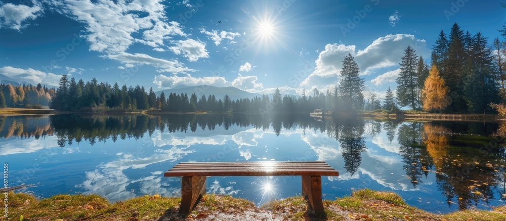 Poster a picturesque scene of stunning trees mirrored in the lake on a sunny day surrounded by a wooden ben