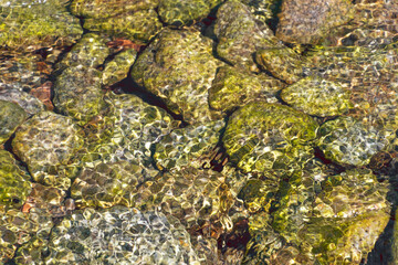 Transparent clean water in a mountain river. Stone bottom of a mountain river. Natural summer background.