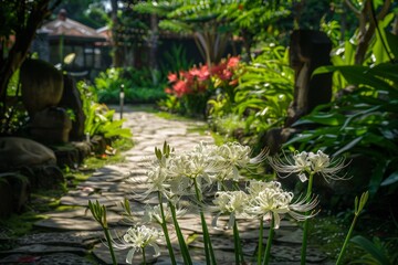 Spider lily flowers in a garden 