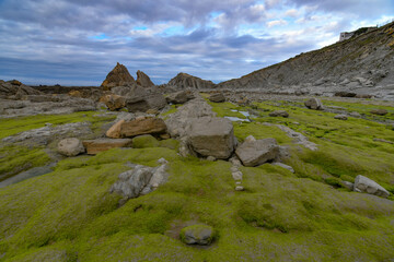 moss-covered rocks in the flyshc of Cantabria