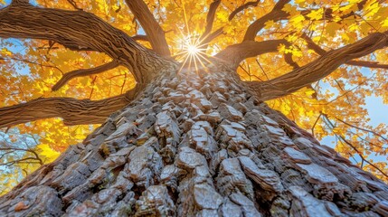 Stunning Ultra High Definition Wallpaper Visuals: Diverse Artistic Inspirations from Nature, Architecture, and Abstract Design