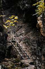 Ladder to the mountains
