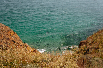 A serene coastal view from a cliff overlooking the turquoise ocean with wildflowers in the foreground.