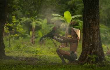Countryside villagers practicing their cockfighting for competition