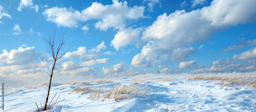 Poster Scenic view of snow against a backdrop of a blue sky with clouds and a stick in the foreground in the copy space image