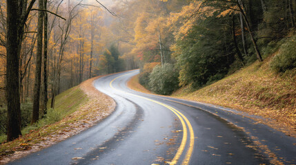 Fototapeta premium A winding road with yellow lines curving through a forest with trees showing autumn foliage and a wet surface, showcasing fall colors and a serene atmosphere.
