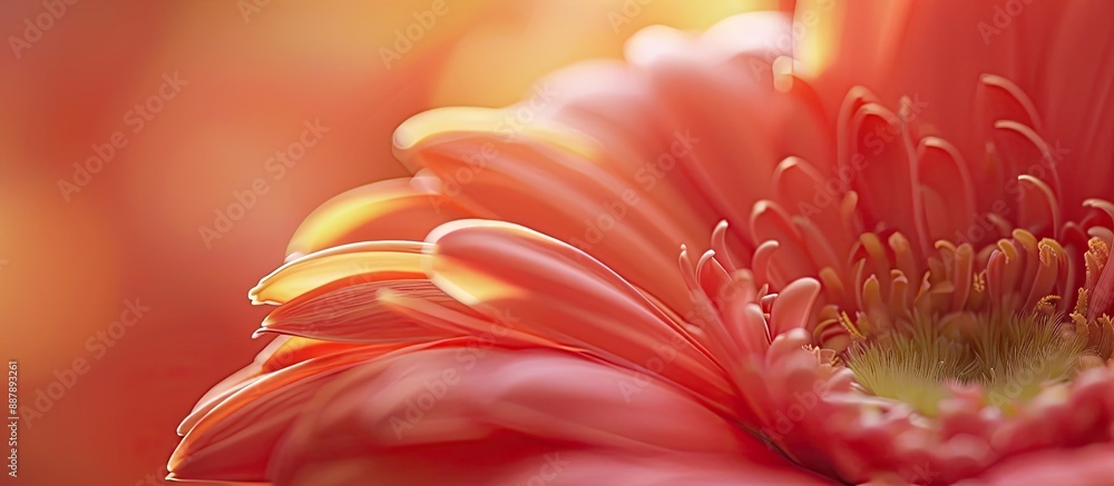 Poster a deliberately blurred close up of a flower for use as a copy space image