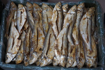 Dried sardines are displayed and being sold on a dry fish market, Salted sardines are on sale at a local Asian seafood market, Closeup shot of freshly caught dried seafood