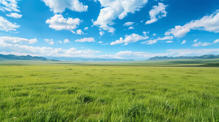Obraz premium Grassland with blue sky