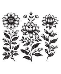 vector flower vector art,graphics flowers icons set,vintage illustration flower clipart,vector flowers flat style artwork design.