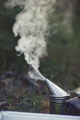Beekeeper is working with bees and beehives on the apiary.