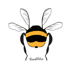 Illustration of a bumblebee. Hand drawing. Sketch or doodle style. Vector