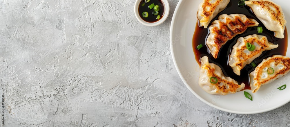 Leinwandbilder Top view of fried gyoza dumplings with soy sauce and onion on a light gray background with space for text or other elements within the image. with copy space image. Place for adding text or design