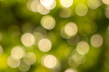 Obraz premium Nature bokeh