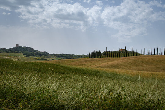 tuscany landscape of hilly fields