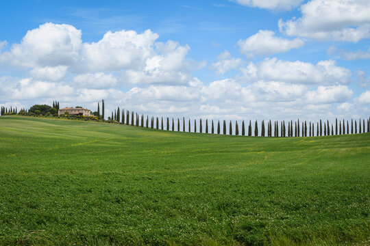 treeline road to a house in italy