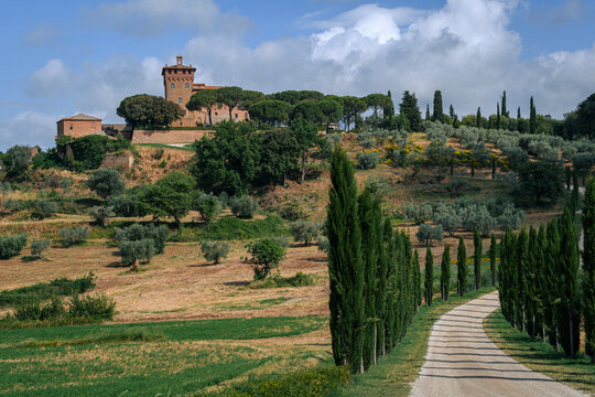 treeline road to a castle in italy