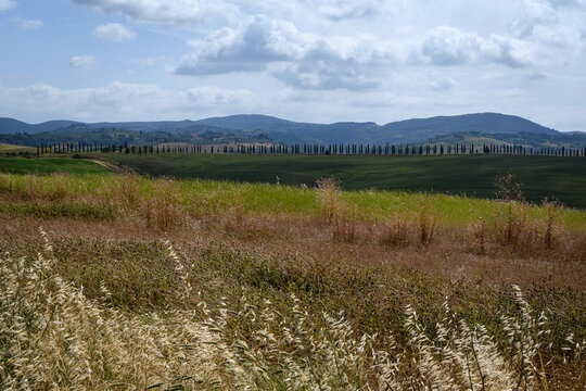 tuscany landscape of hilly fields with treeline and mountains