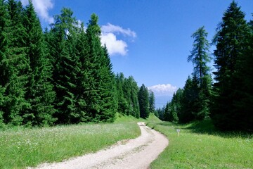 Fototapeta premium Wanderweg Mendel