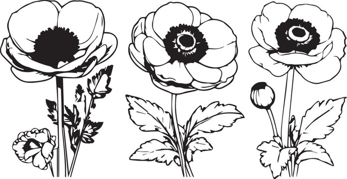 "Artistic Floral Creations: A Collection of Beautiful Flower Illustrations"