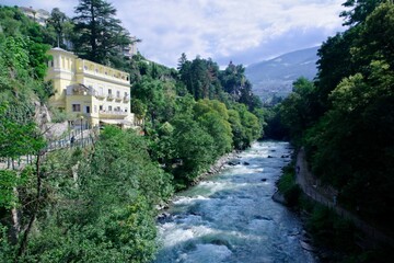 Passer Meran
