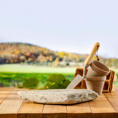 Seedlings and flowerpot on wooden garden table with blurred garden background and copy space for products and objects montage display.