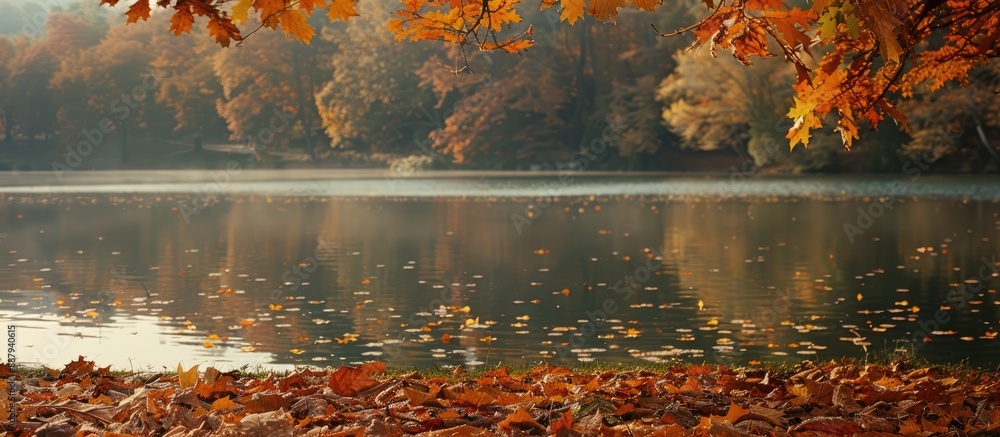 Aufkleber autumn leaves blanket the reservoir creating a scenic nature background with ample copy space image