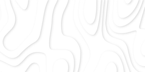 Obraz premium Abstract paper carve template. abstract white and gray 3d papercut topography relief vector background illustration. topographic canyon geometric map relief texture with curved layers and shadow.