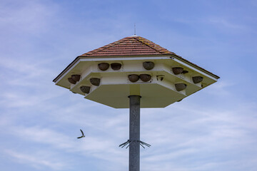 Pigeon hotel on pole with a bird flying by in the blue sky