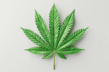 High resolution image of a cannabis leaf isolated on a white background