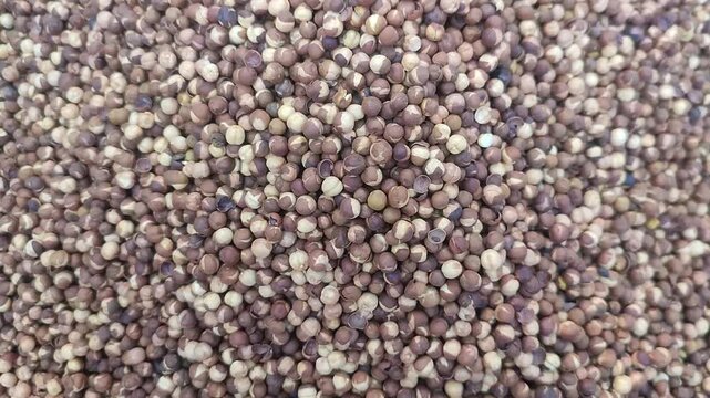Fried Chickpea. Chola. Chola boot. Chickpea or Chick pea . Cicer arietinum