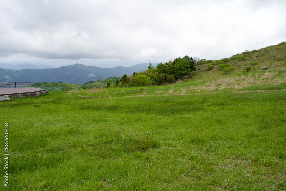 Poster Grassland scenery of Tengu Highlands