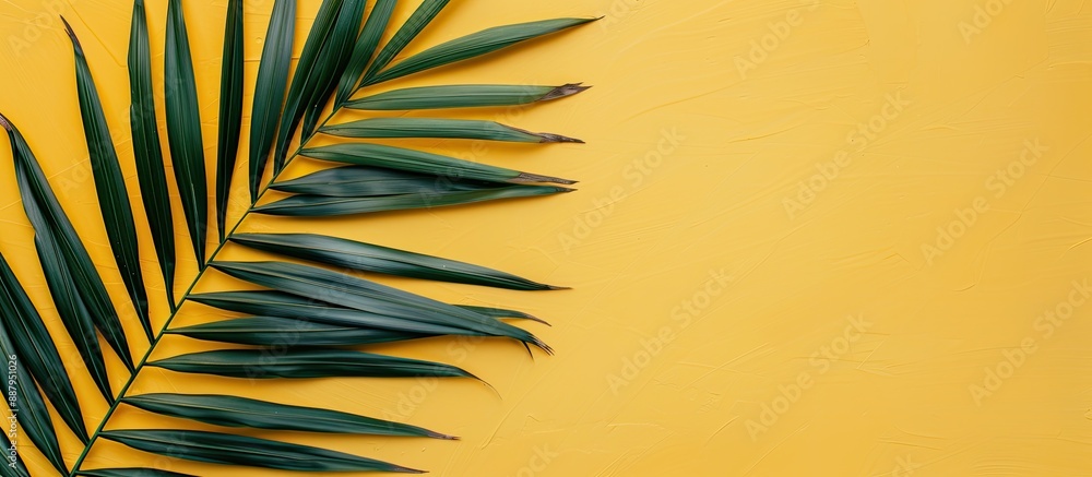 Poster a tropical palm leaf rests on a yellow backdrop with copy space image creating a minimalistic summer