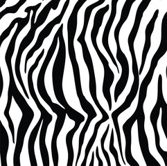 Zebra fur pattern design. Abstract stripe black and white texture vector. 
