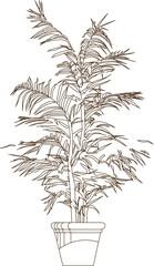 Vector silhouette illustration sketch, detailed design of ornamental flower plants in pots for indoor and garden interior decoration