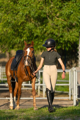 Young Equestrian Leading Horse in Sunny Paddock