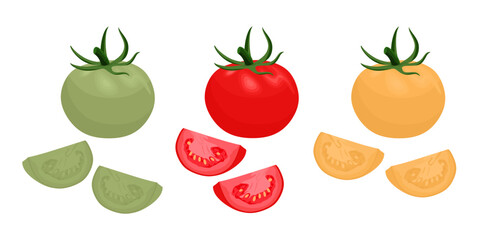 Fresh whole tomato vegetables and cut slices of different color. Cartoon illustration of red, green and yellow tomatoes. Healthy natural organic vegan food, veggies isolated. Flat vector illustration