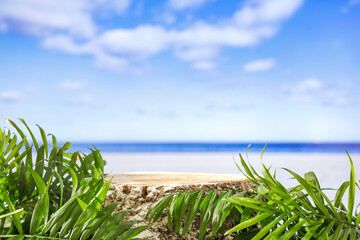 beach, sea, ocean, tropical, island, palm, copy space, empty, landscape, landscape, sky, water, nature, coast, summer, travel, tree, vacation, paradise, sand, holiday, shore, resort, exotic, lagoon, g