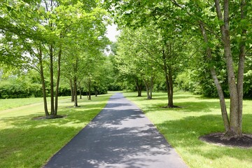 The long empty path in the park on a sunny day.