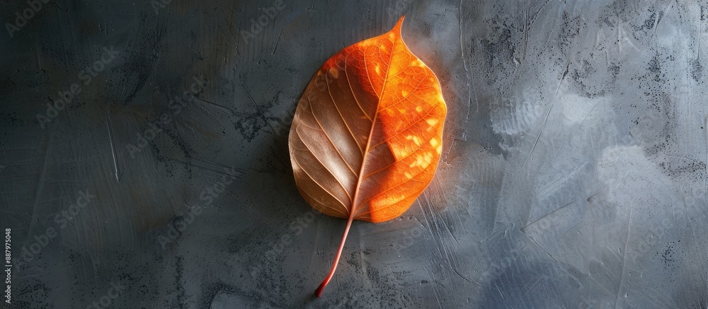 Poster leaf shaped card design with copy space image