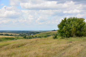 Obraz premium a field with an apple tree on the right side and sky with clouds