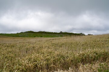 Meadows of Shikoku Karst and cloudy sky
