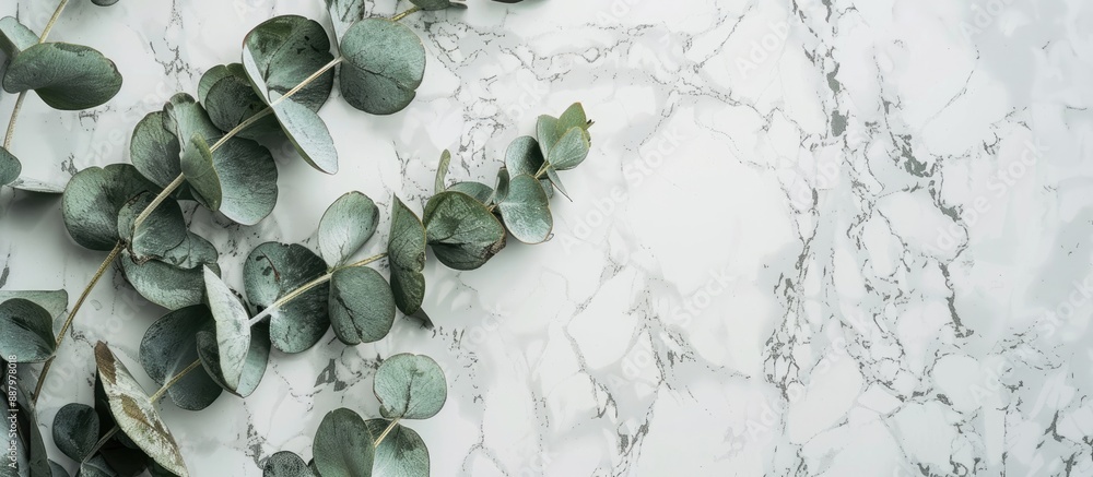 Poster minimalistic business card mockup featuring eucalyptus branches on a marble background designed with
