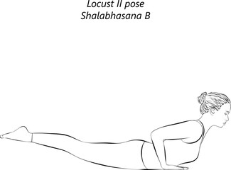 Sketch of young woman practicing Shalabhasana B yoga pose. Locust II pose. Intermediate Difficulty. Isolated vector illustration.