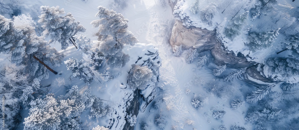 Poster aerial view of snow covered stone cliffs with pine trees in a winter landscape perfect as a copy spa