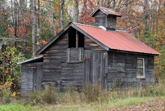 Autumn scene in New England. Old abandoned and weathered maple syrup sugar shack alongside woods in rural Sugar Hill, New Hampshire