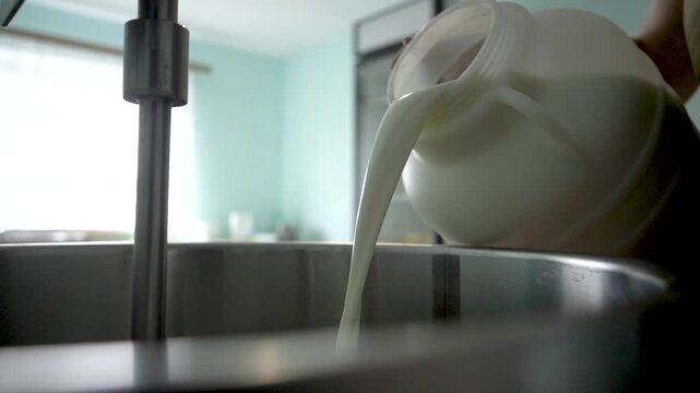 A close-up of fresh milk being transferred from a container to a stainless steel vat in a modern cheese factory