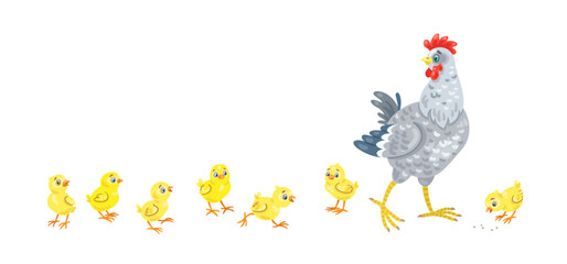 Chicken family. Mother hen and seven funny yellow chickens. Isolated on white background. Vector flat illustration.